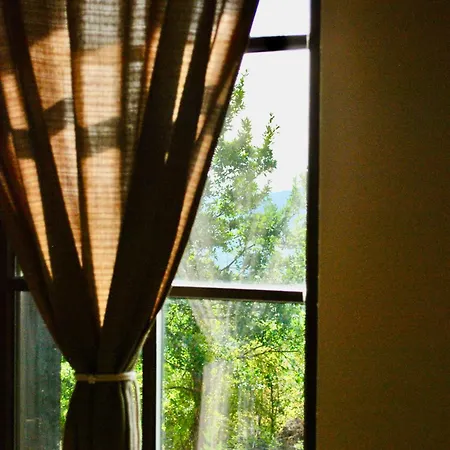 Case de vacanță Belora