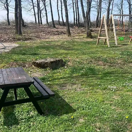 белора *