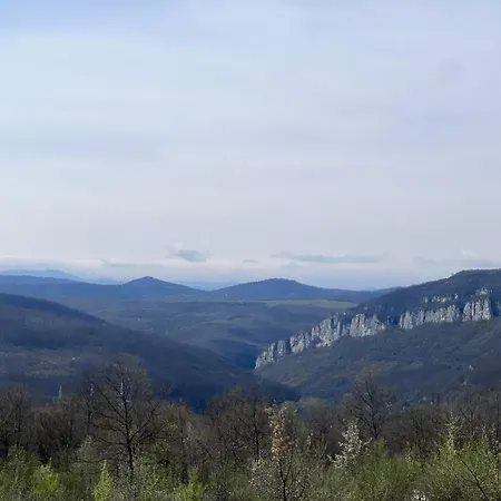 белора Vakantiehuis