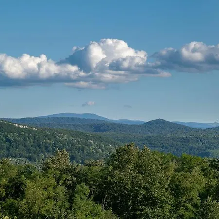 белора * Dryanovo (Gabrovo)
