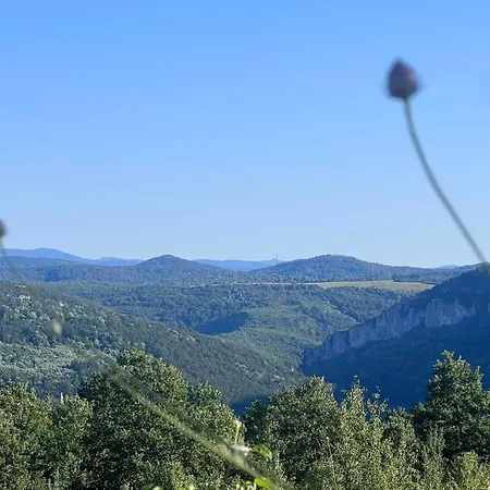 белора Dryanovo (Gabrovo)